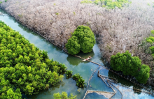 Cimenterie Luksvaxi à Huong Tra