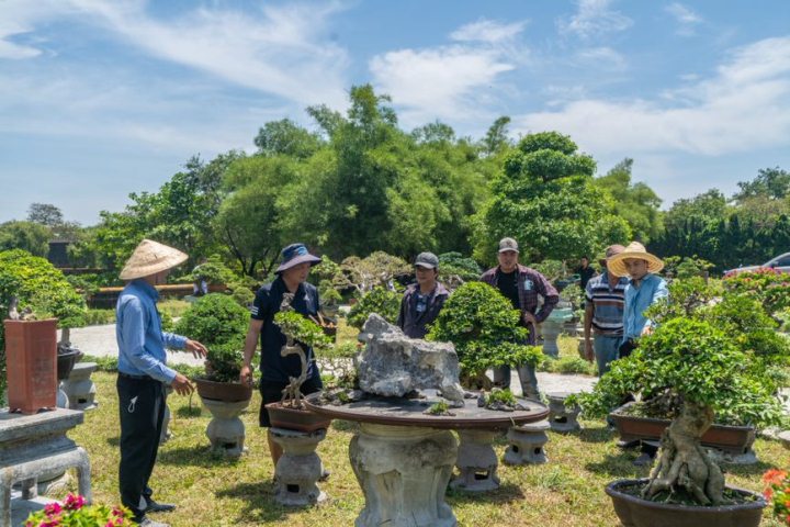 Cây cảnh ba miền tại Tuần lễ Festival Huế 2022