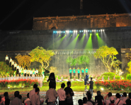 Festival nghề 2011