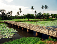 Tinh Tam lake