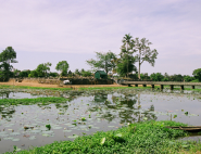 Hồ Tịnh Tâm