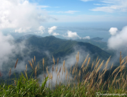 Bạch Mã