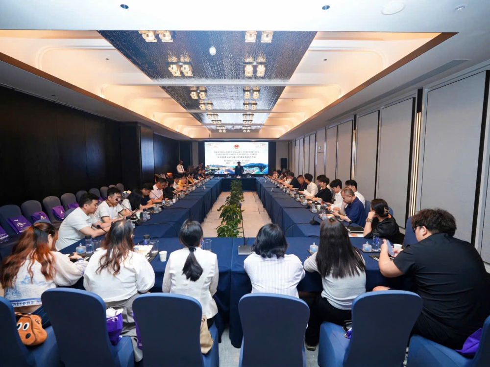 Chinese travel enterprises, corporations, and investors engage in discussions at the conference