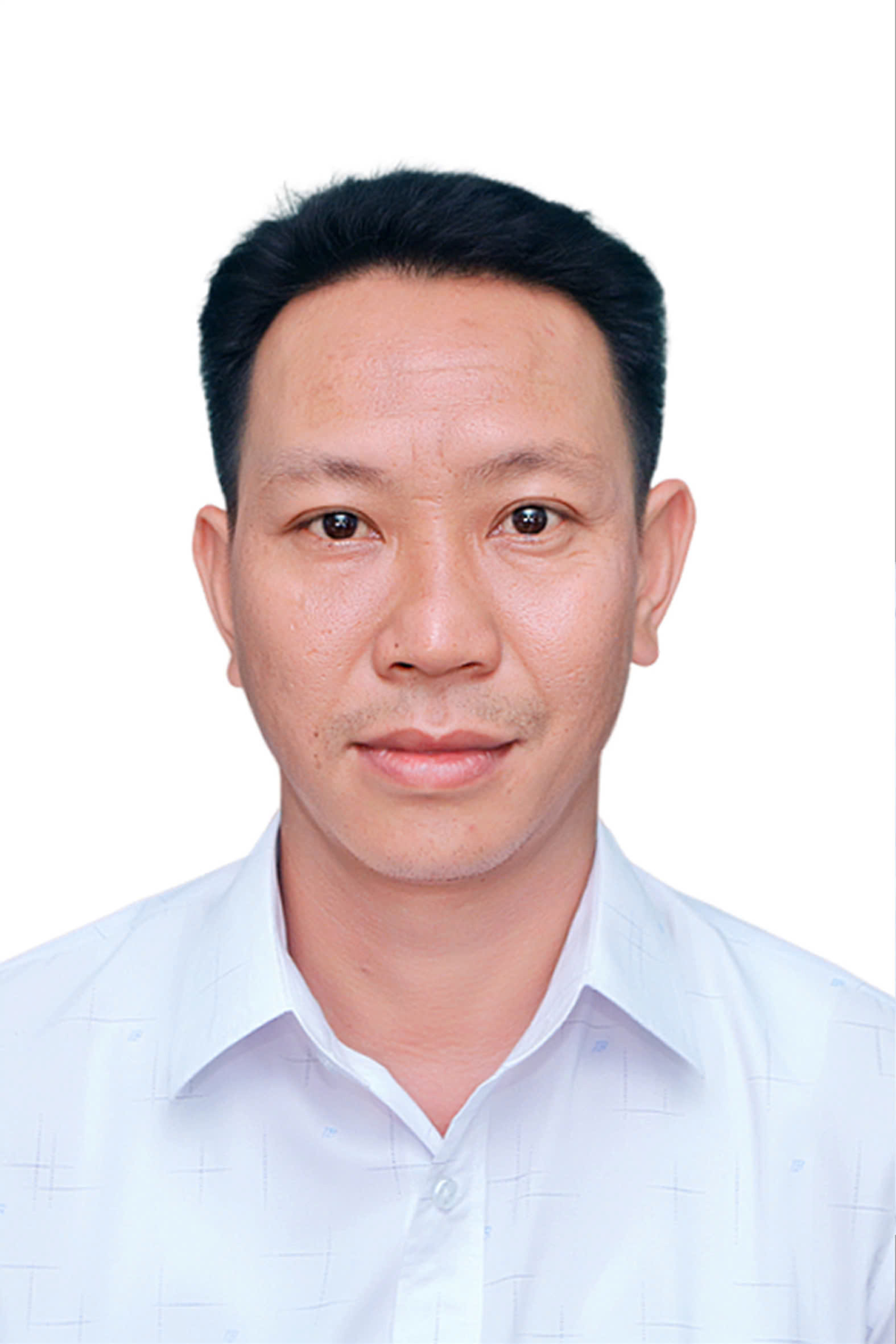Không có ảnh